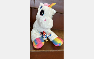 les Mascottes aussi sont au pique-nique à Sillé